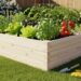 Beginner’s Guide to DIY Raised Garden Beds