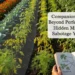 7 Companion Planting Mistakes No One Talks About (And How to Fix Them)