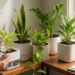 🌿 Low-Maintenance Indoor Gardening Hacks: The Ultimate Guide for Stress-Free Greenery