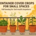 🌱 Container Cover Crops for Small Spaces: Fall Sowing for Soil Health Anywhere