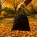 How to Make Leaf Mold in Just 6–8 Weeks (Fast Method for Autumn Leaves)