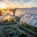 Cold Frame Gardening: 3 Budget Hoop House Builds + What to Plant (Oct–Dec)